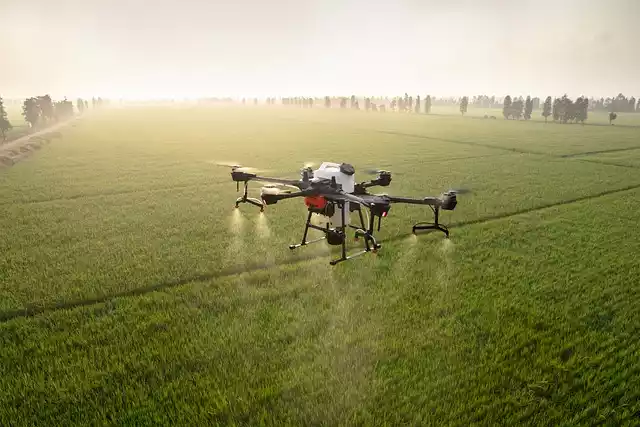 Drony w rolnictwie - nowości technologiczne